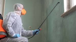 Why You Should Choose Our Mold Remediation Services in Kirklin, IN