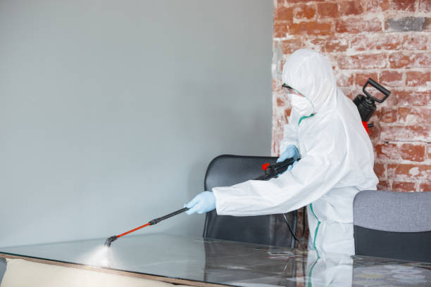 Best Mold Odor Removal Services  in Kirkl, IN