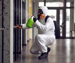 Best Asbestos and Lead Testing During Mold Inspection  in Kirkl, IN