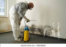 Best Black Mold Removal  in Kirkl, IN